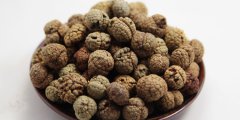 草豆蔻