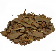 鬼箭羽